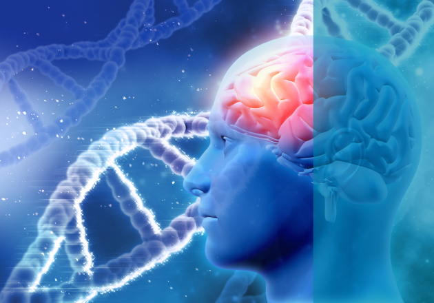 Нейрофизиология